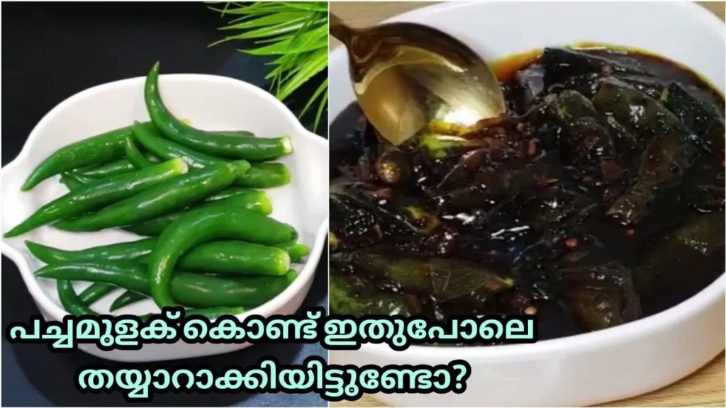 green chilli puliyinji