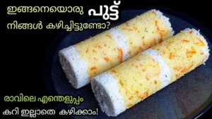 Paal Puttu